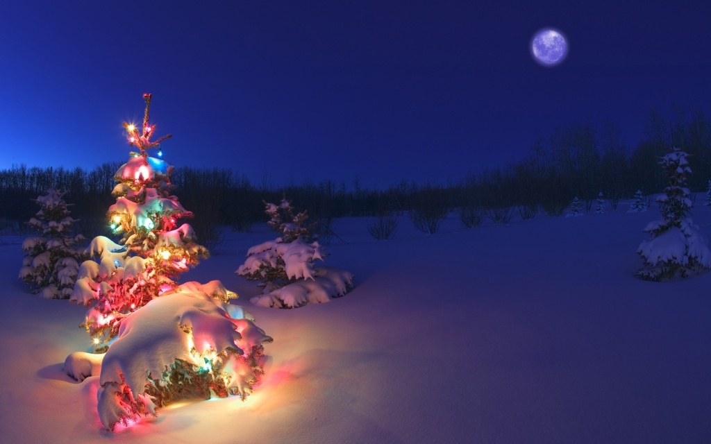 Christmas Tree Light In Snow HD Wallpaper   Stylish HD Wallpapers