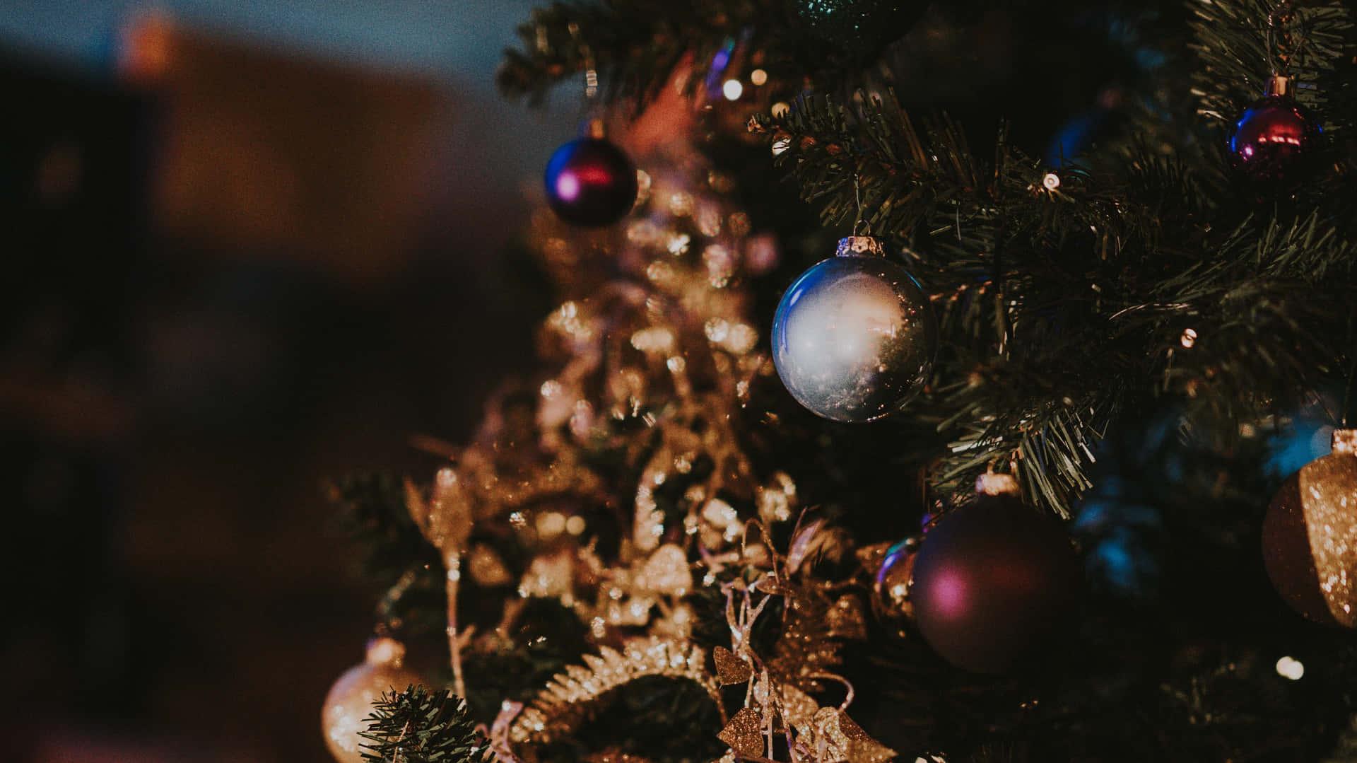 Tree Close Up High Resolution Christmas Desktop Wallpaper