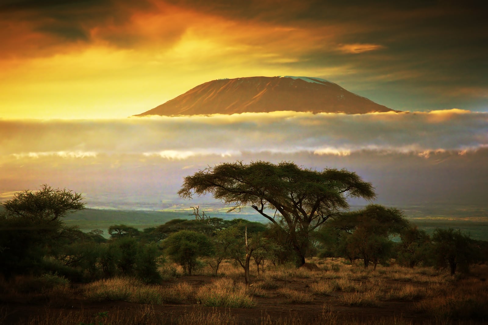 Mount Kilimanjaro HD Wallpaper