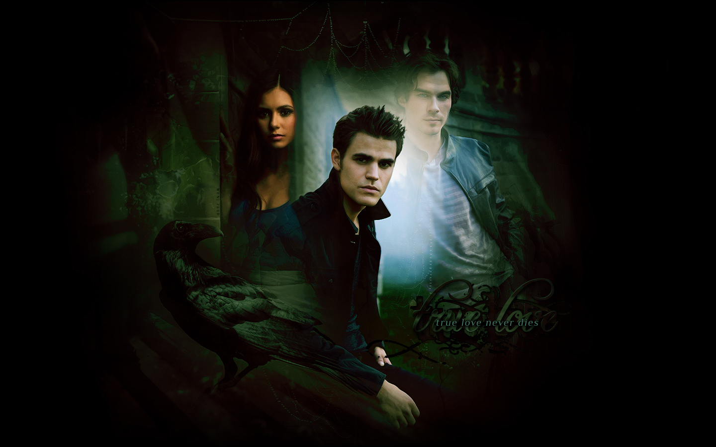 Stefan Elena and Damon   The Vampire Diaries Wallpaper 8414963 1440x900