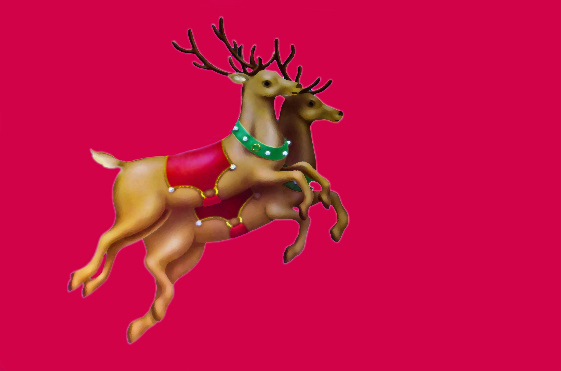 Christmas Reindeer Stock Photo HD Public Domain Pictures