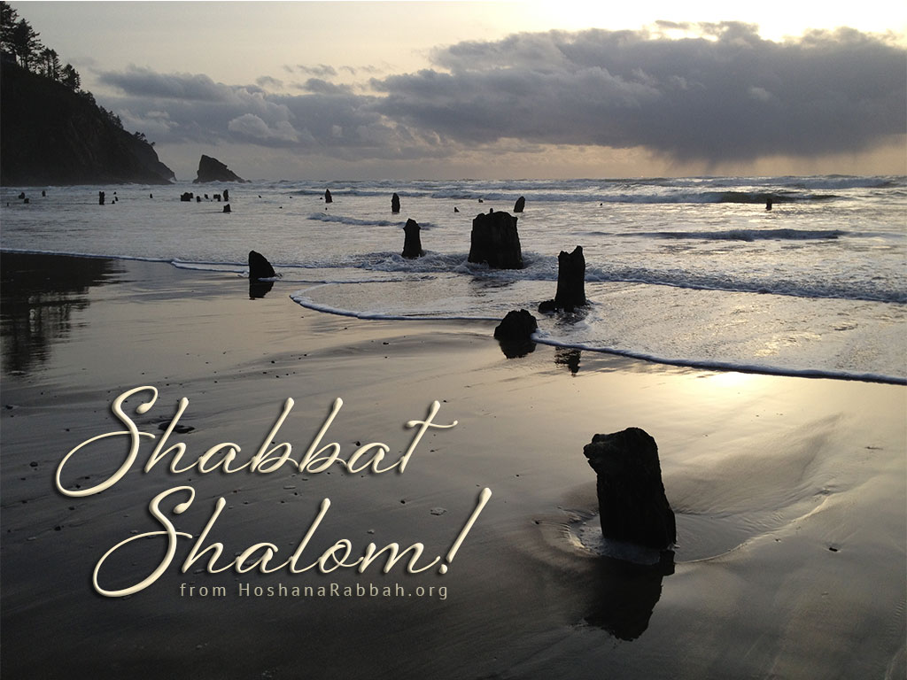 Shabbat Shalom Coast Hoshana Rabbah
