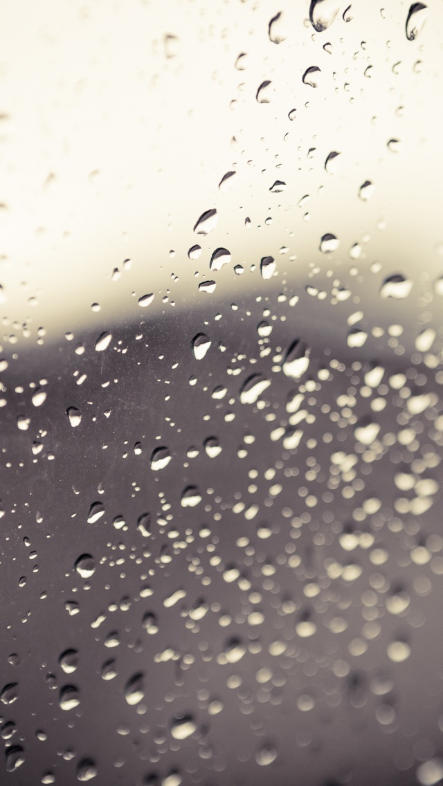 Rain Drops iPhone Wallpaper