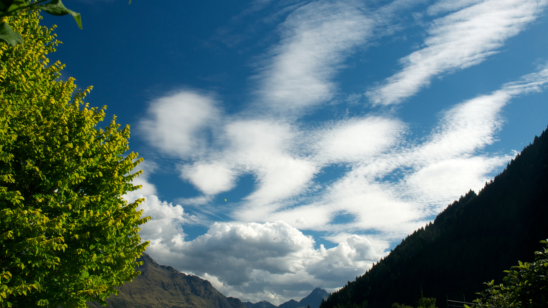 Sky Clouds Trees HD Wallpaper 1080p