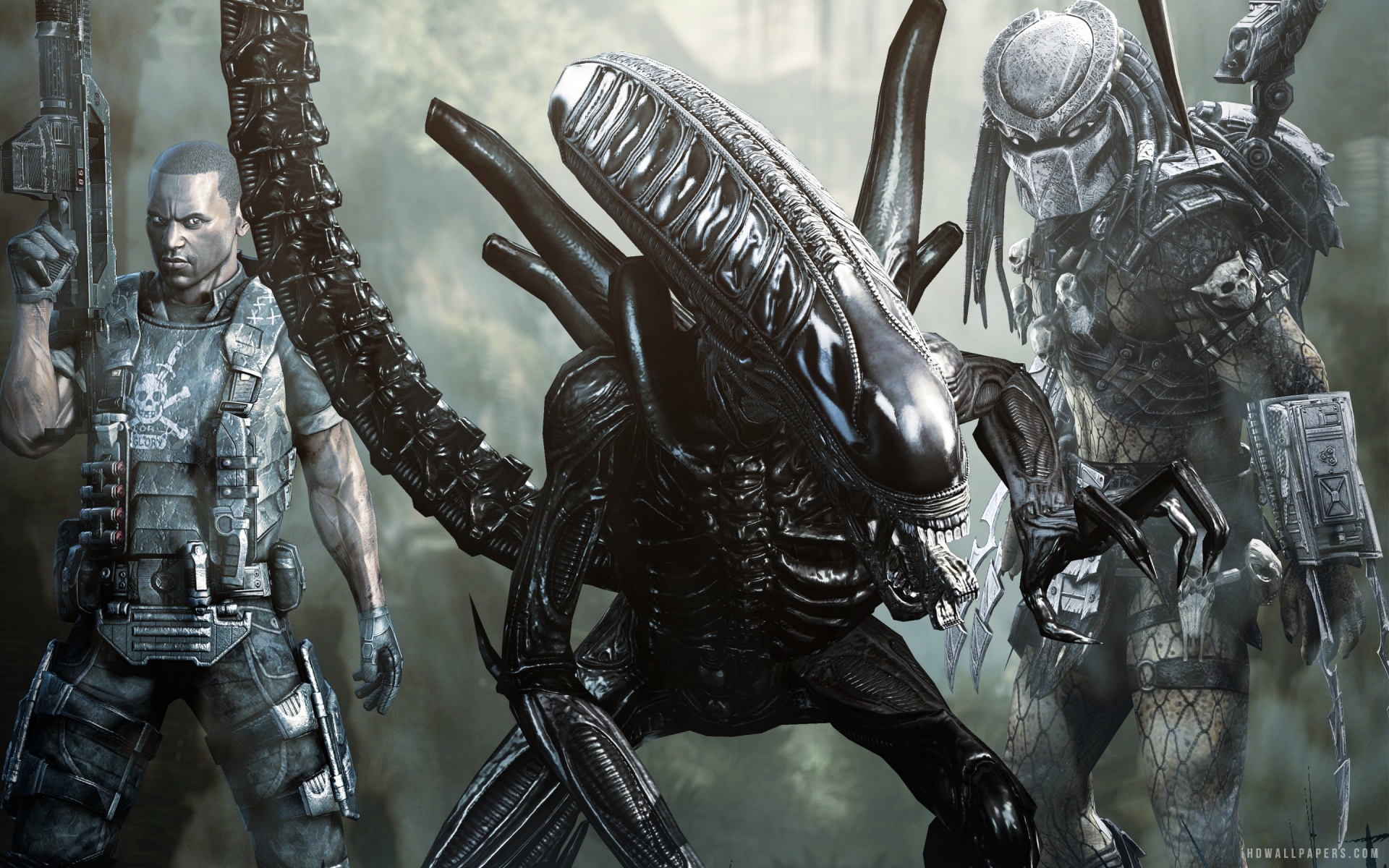 Xenomorph Alien Vs Predator Wallpaper