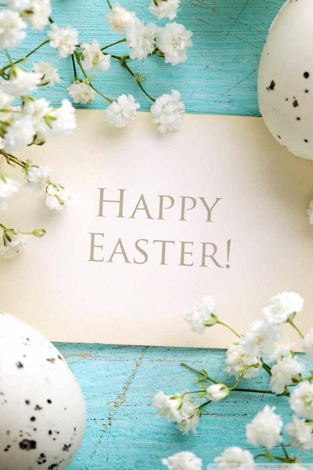 Cute Easter iPhone Wallpaper