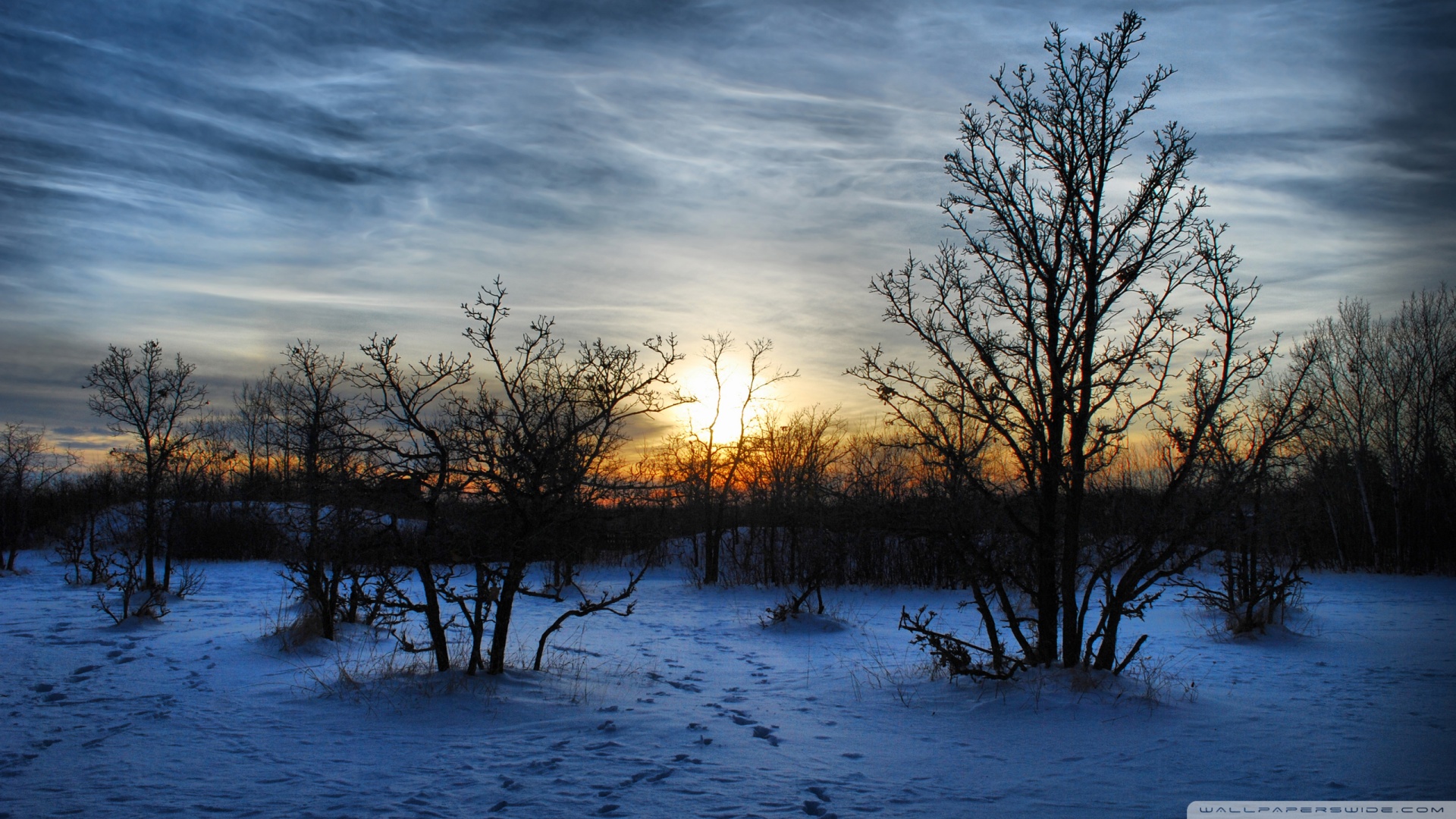 Winter Scene Sunset Background Wallpaper Image