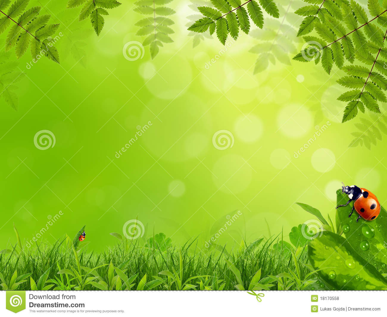 Spring Background HD Quality Image