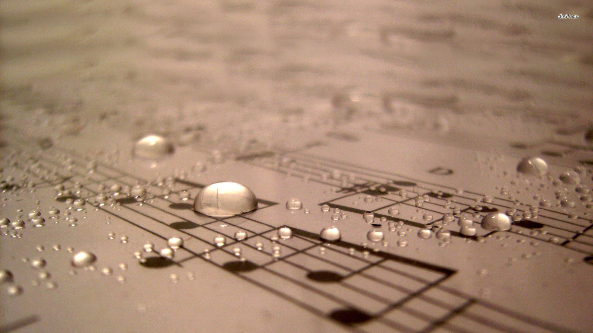 Water Drops On Sheet Music Wallpaper Jpg