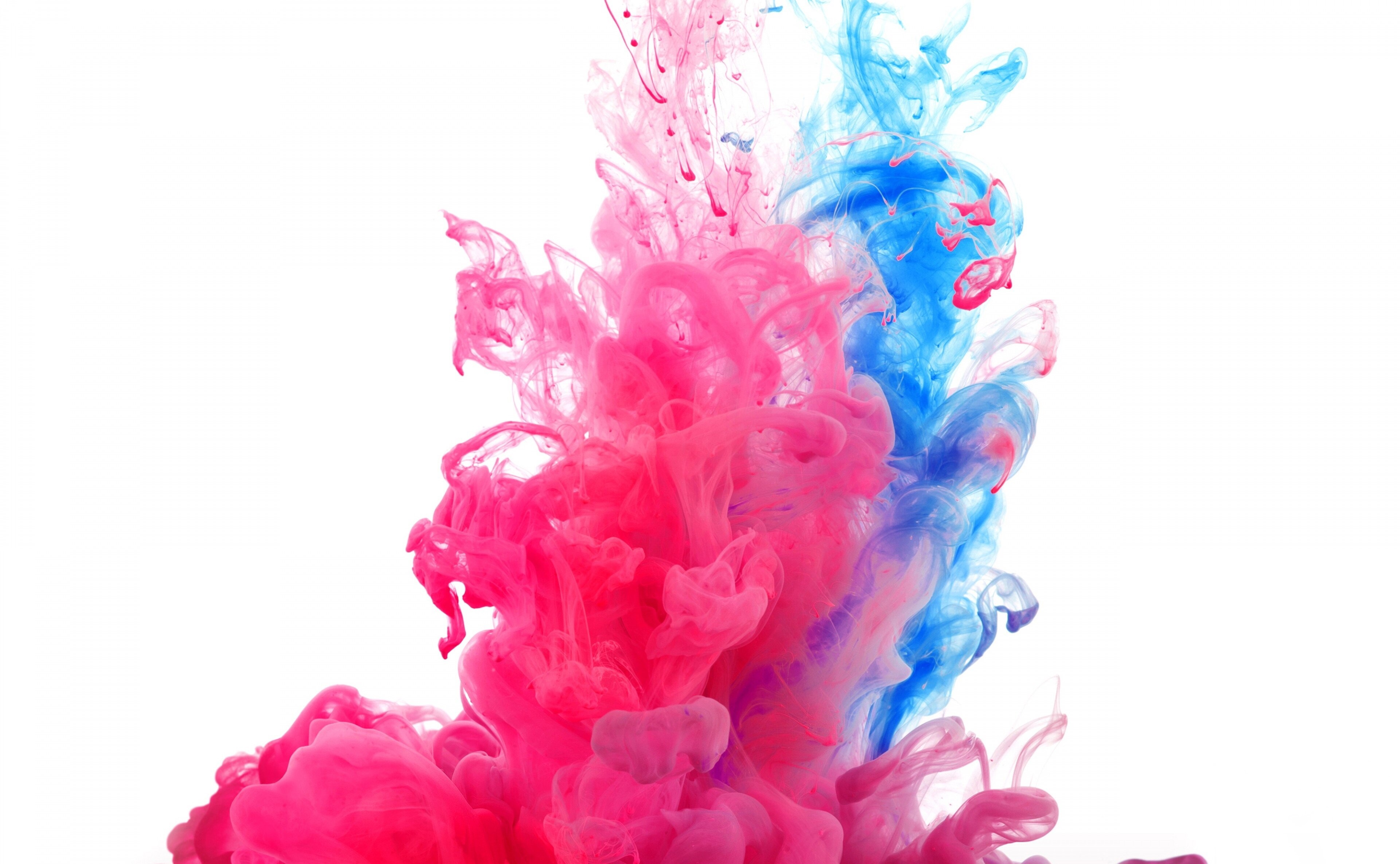 Holi 4k Image HD Wallpaper