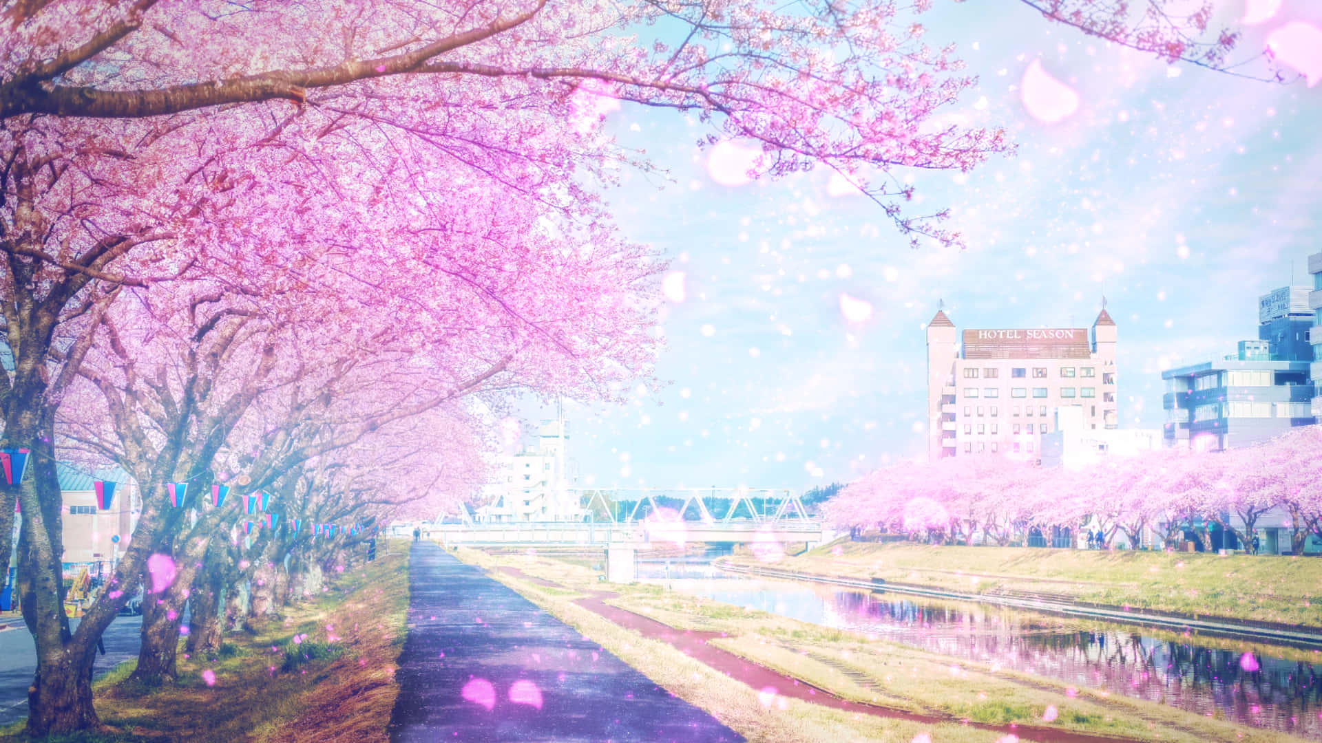 Sakura Pc Wallpaper