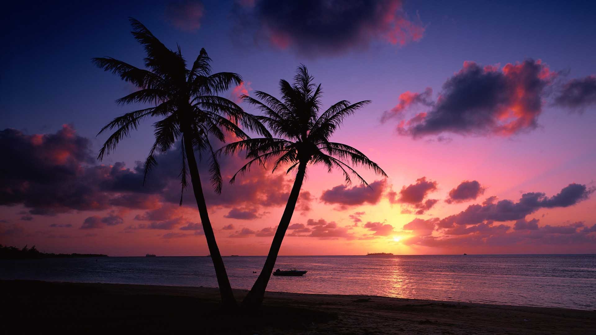 Beach Sunset Desktop Wallpaper Image