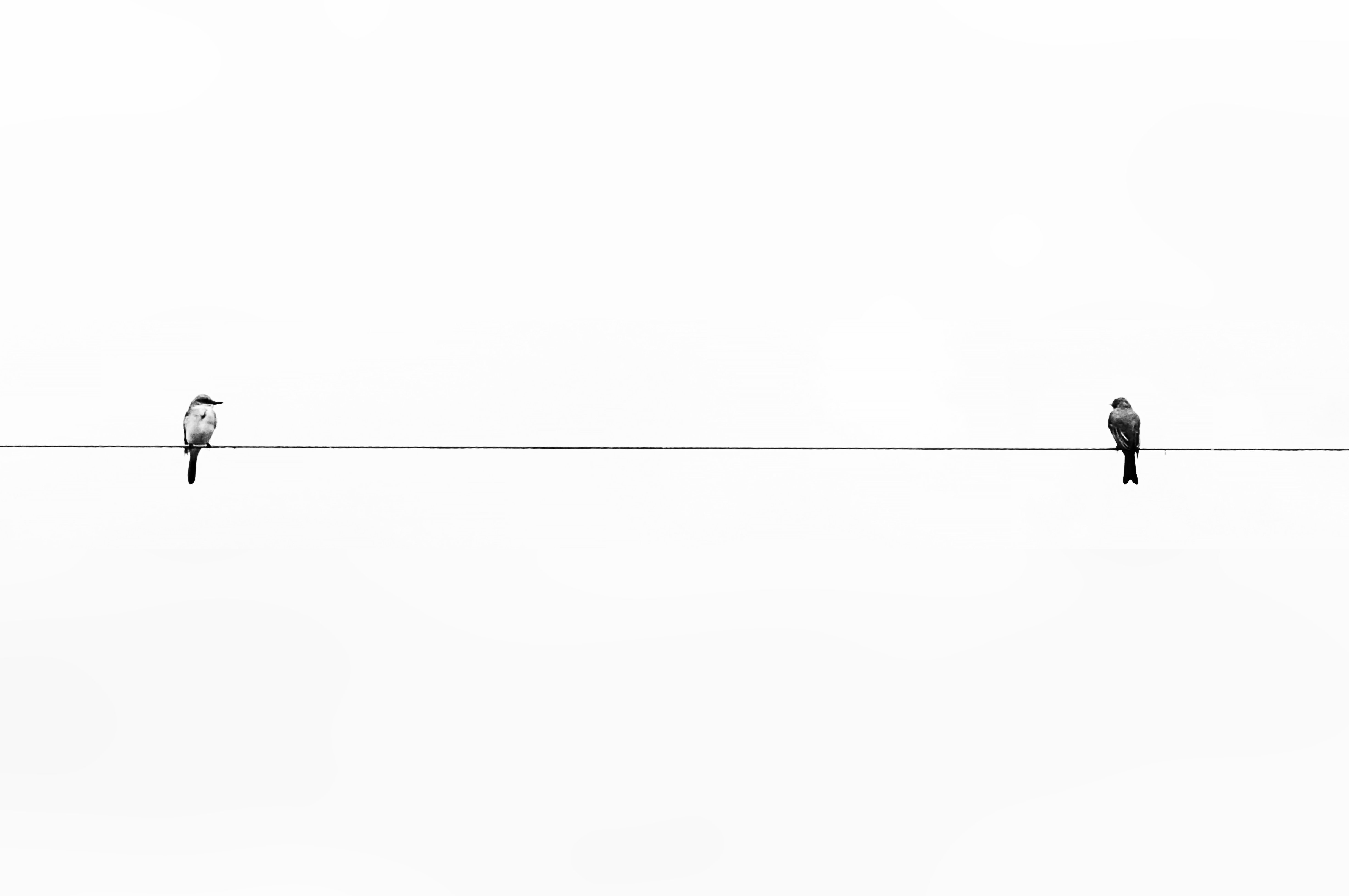 Featured image of post White Minimalist Wallpaper Computer Find the best minimalist desktop wallpaper on getwallpapers