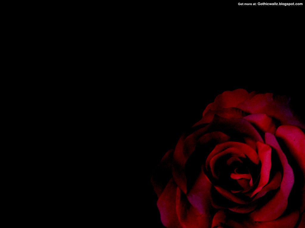 Gothic Rose Best Wallpaper Dark Desktop