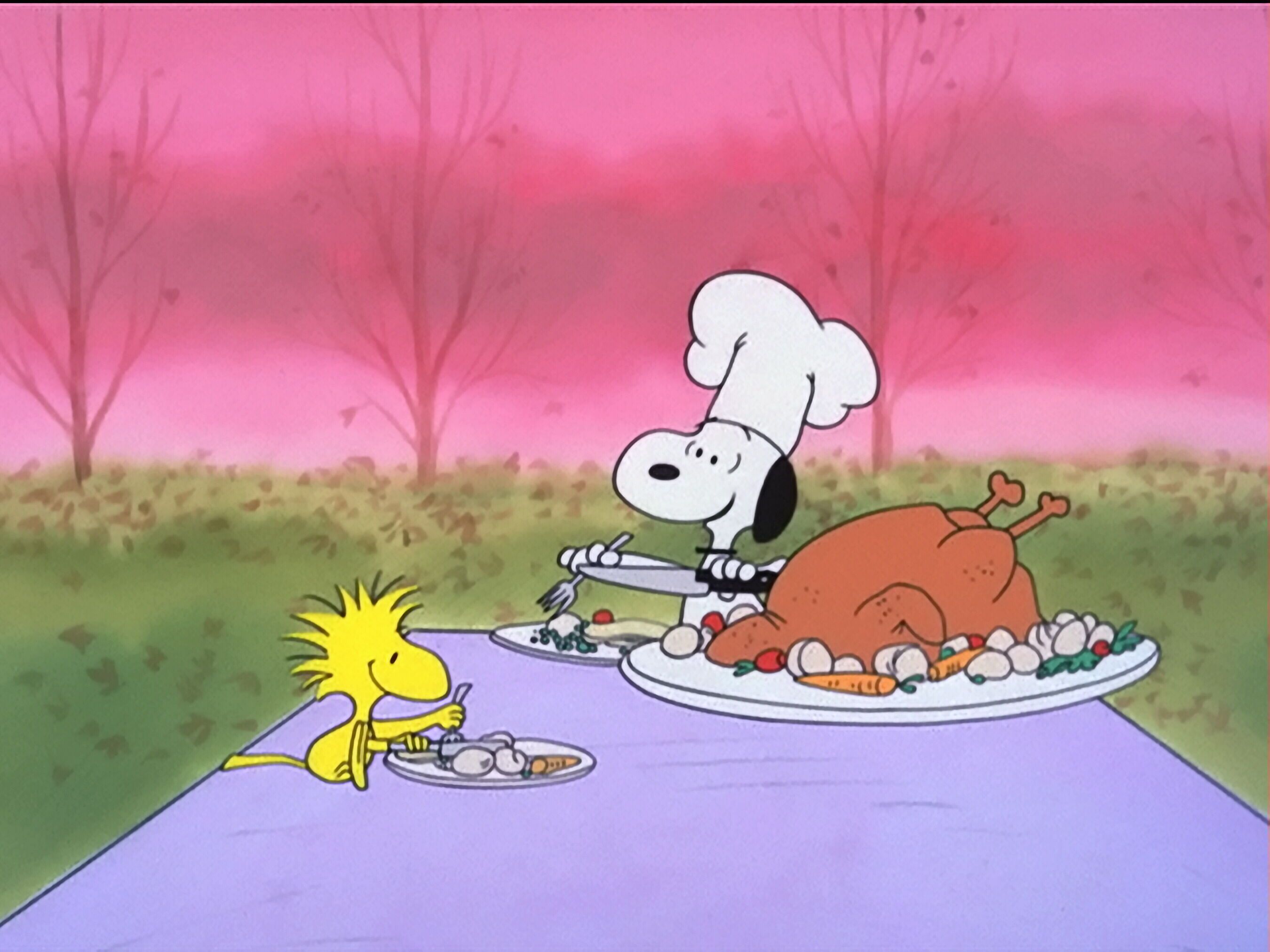 Wallpaper For Charlie Brown Thanksgiving Background
