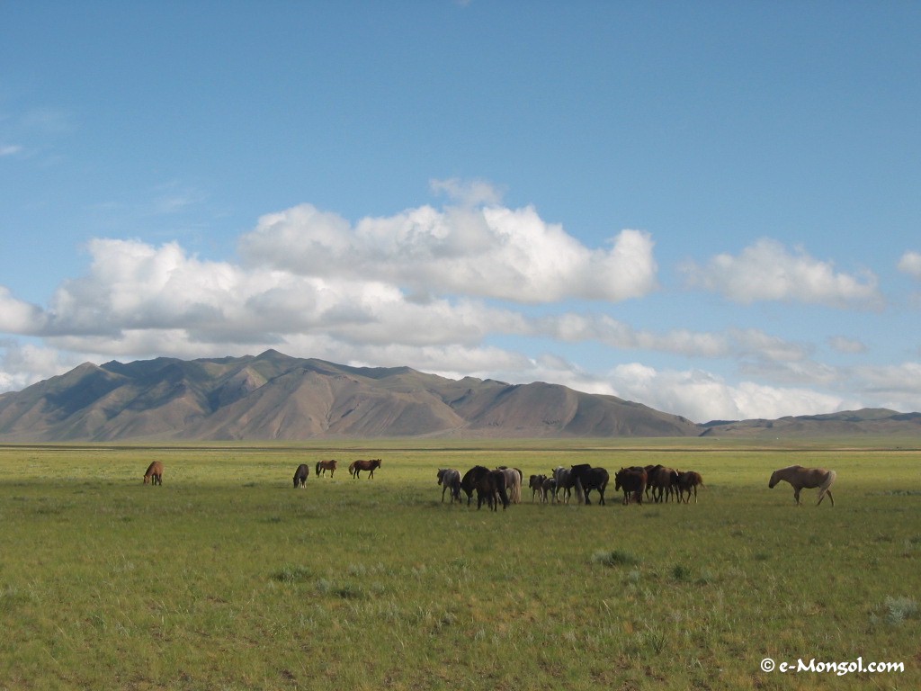 Photos Of Mongolia Wallpaper For Your