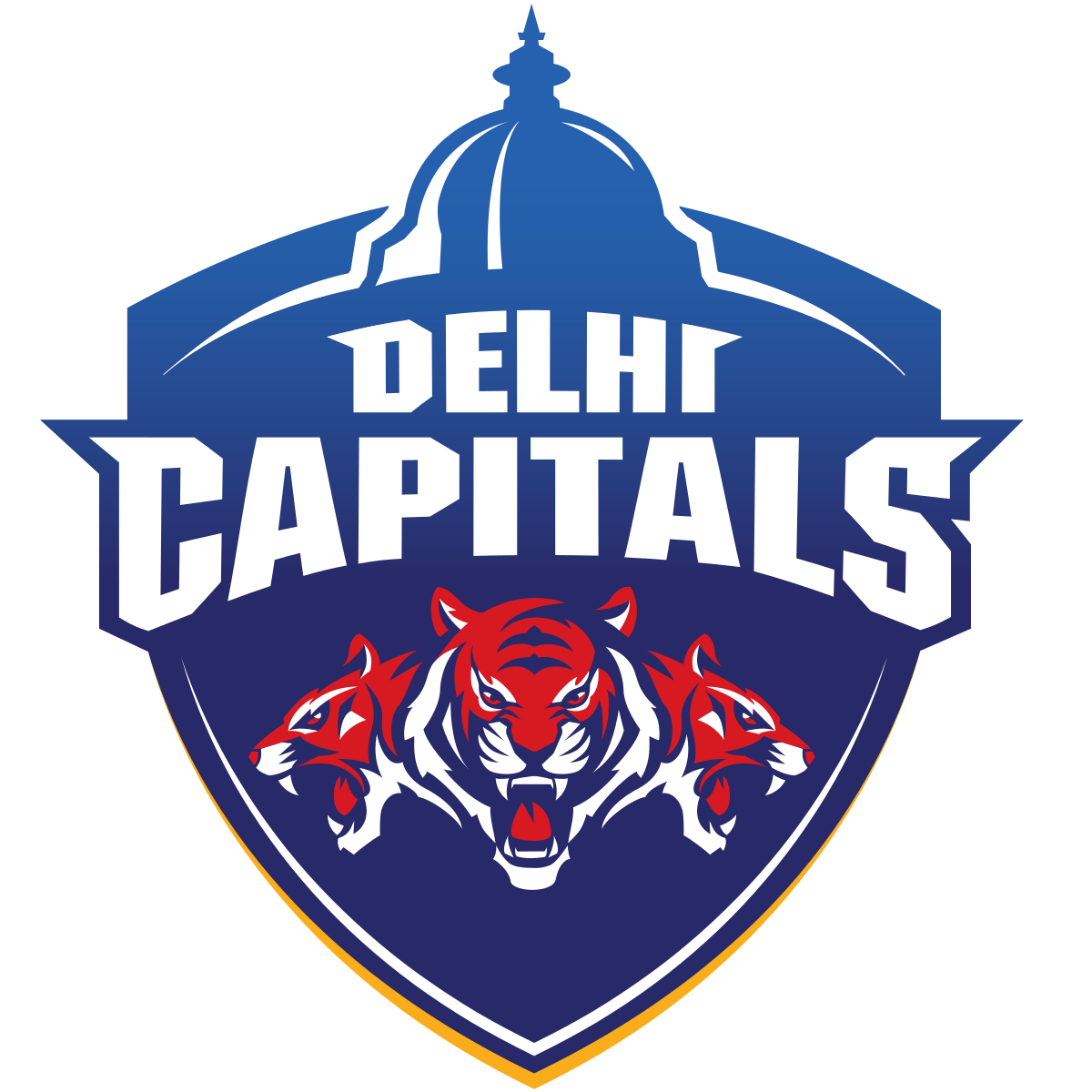 Delhi Capitals   ReviewFoxx