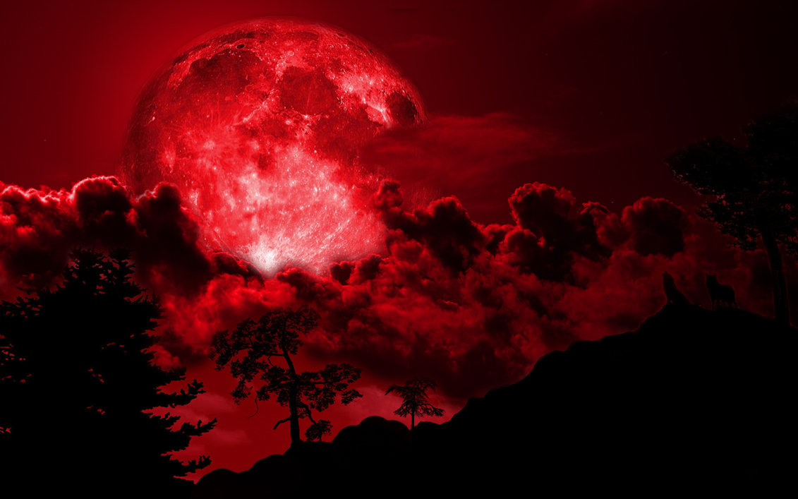 Just Howl Image It S The Blood Moon HD Wallpaper And Background