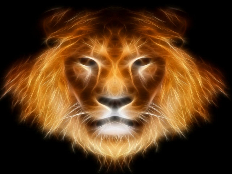 Art Digital Lion Animals Cats HD Desktop Wallpaper