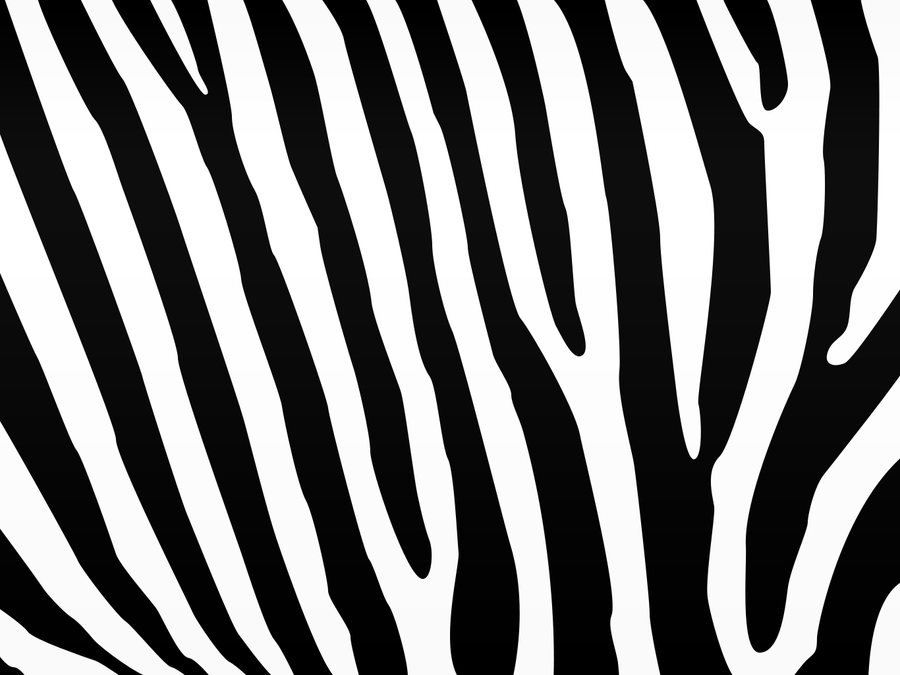 Zebra Desktop Background By