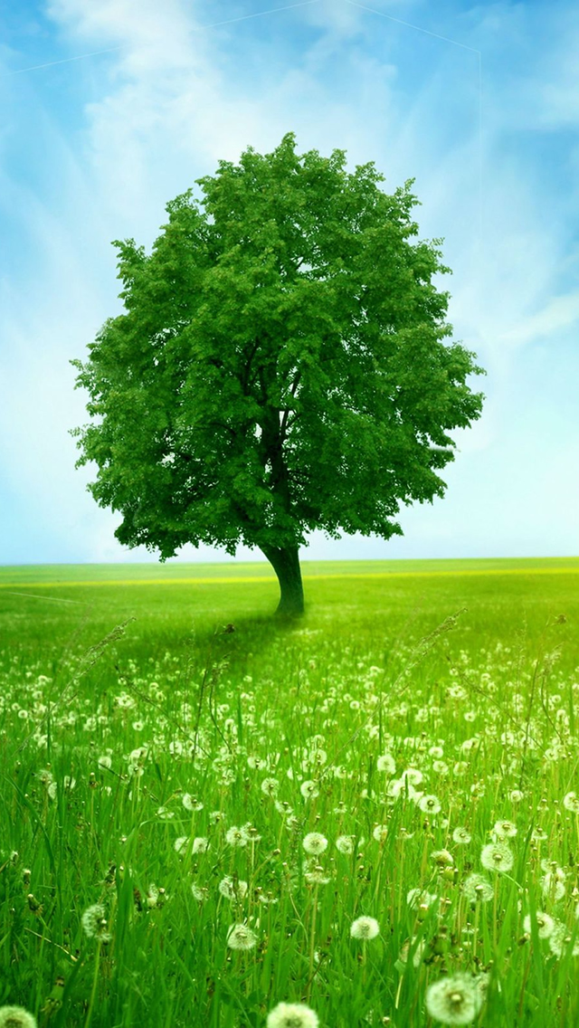 Green Tree And Meadow Wallpaper iPhone