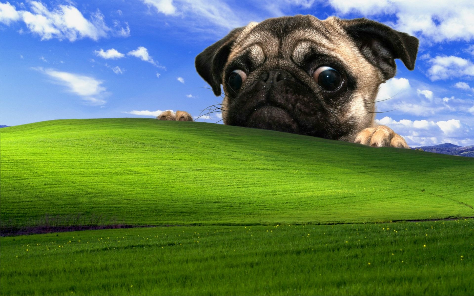 The Best Takes On Windows Xp Bliss Wallpaper Dorkly Post