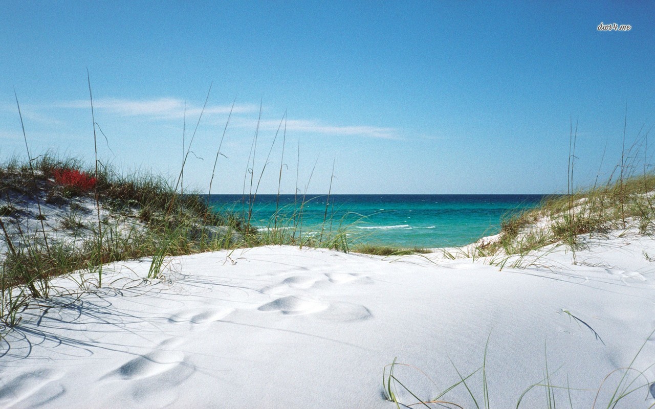 White sanded beach in Florida wallpaper   Beach wallpapers   20723