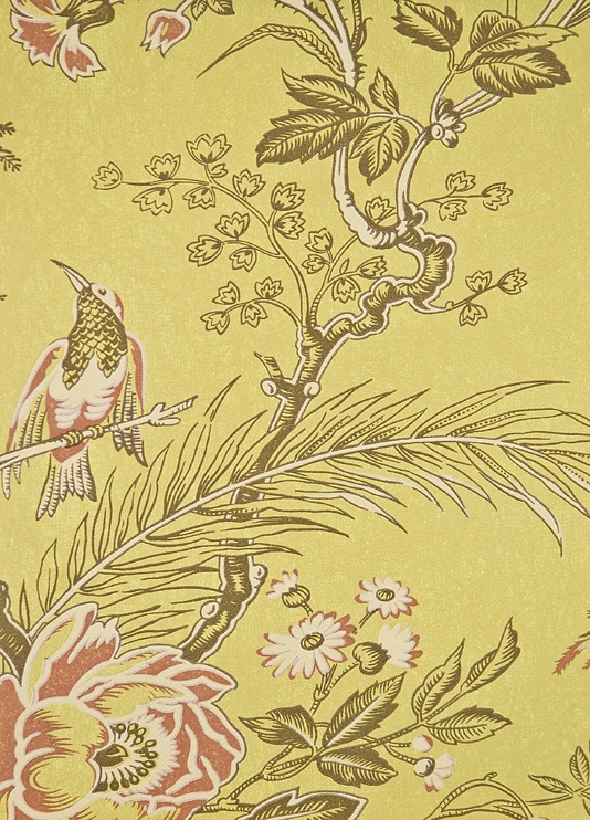 Muscat Wallpaper Lime and Coral floral print wallpaper with birds