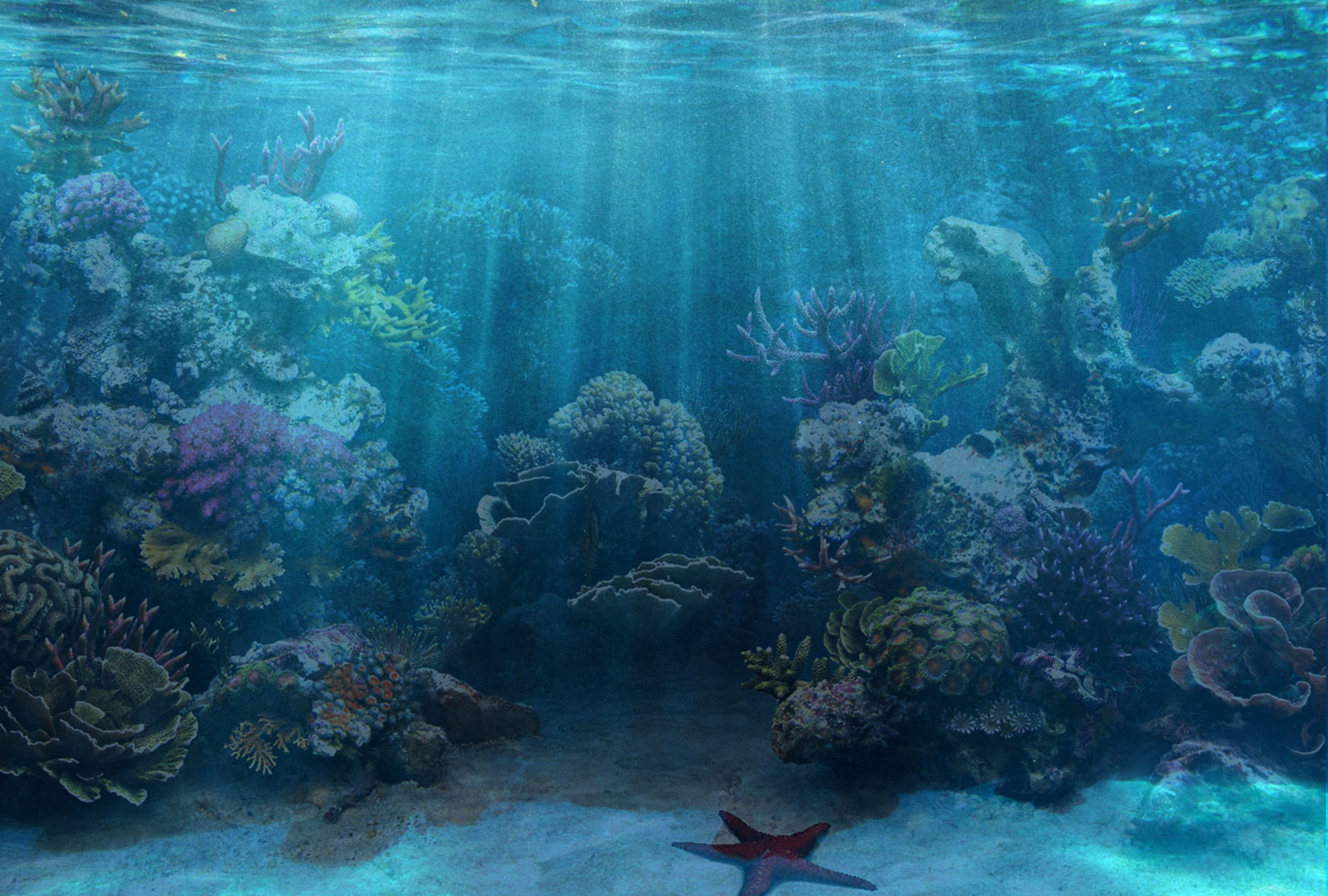  50 Saltwater Fishing Wallpapers WallpaperSafari