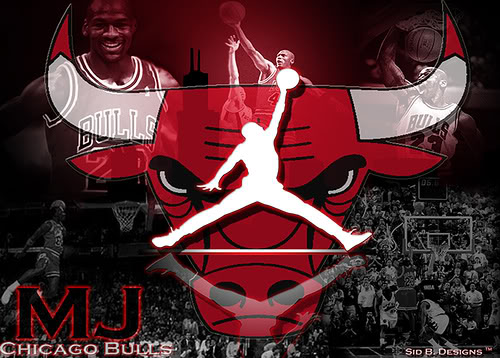 Chicago Bulls Jordan Graphics Code Ments