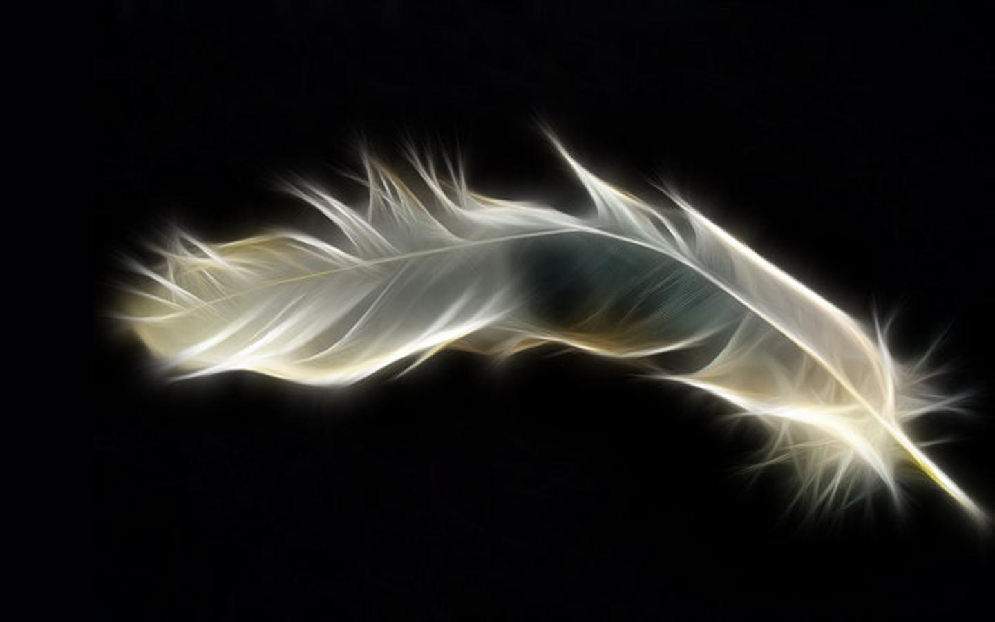 Abstract Feather Wallpaper Chrome Os Good