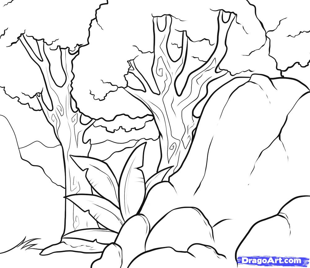 Tropical Rainforest Drawing How To Draw A Background Step