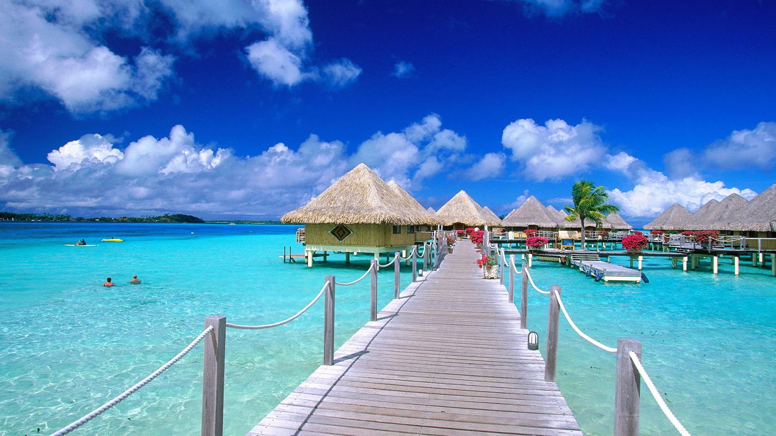 Daily Amazing Fun Desktop Wallpaper Beach Background
