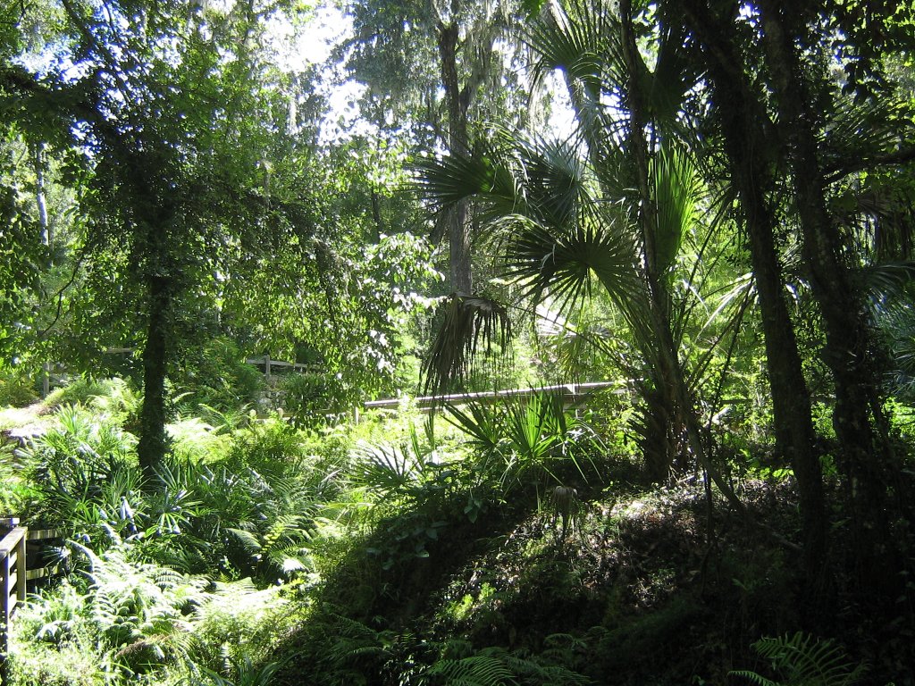 Tropical Landscape Wallpaper Florida Sceneries