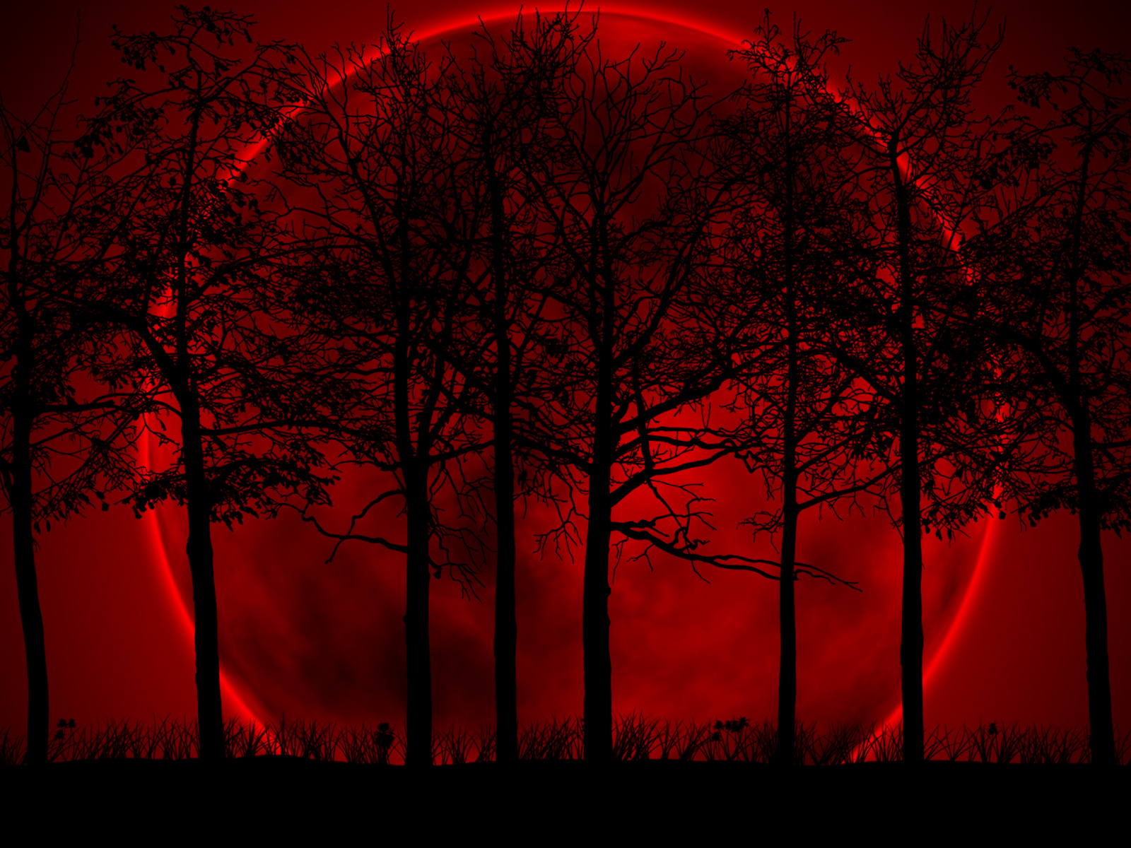 Wallpaper Moon Forest Red And Black