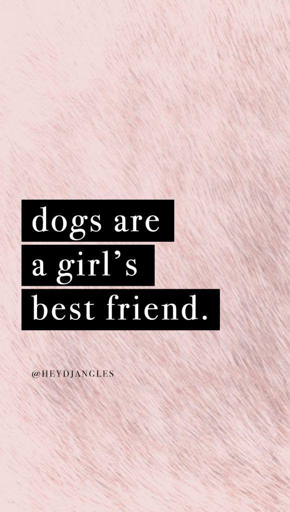 Free Resources Hey Djangles Dog quotes Dog quotes love
