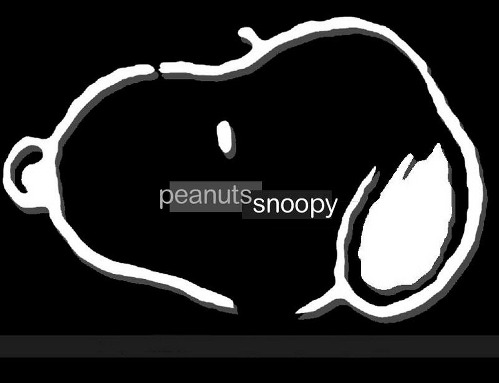 Snoopy iPad Mini Wallpaper