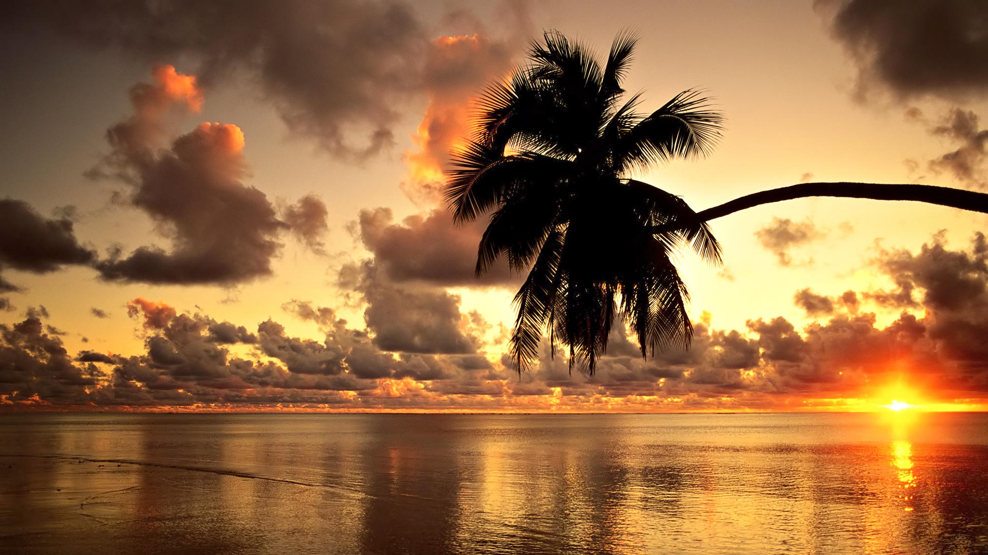 Hawaii Sunset Beach Desktop Background New HD Wallpaper Full