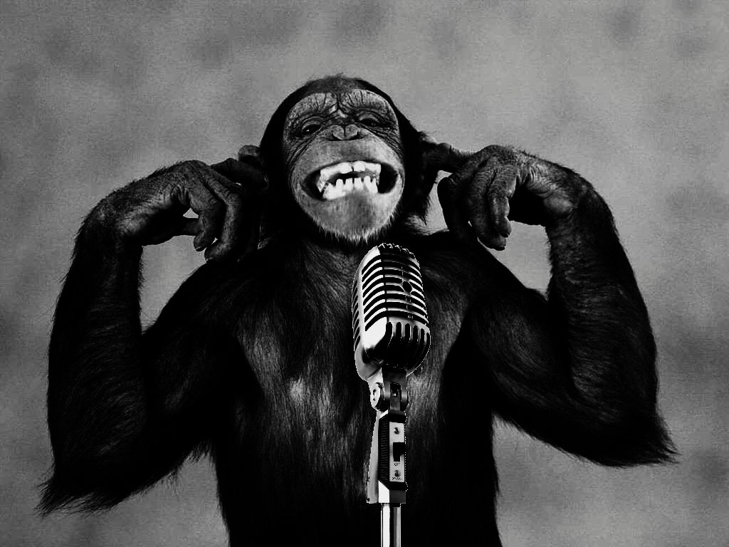 Chimpanzee At Microphone Funny Wallpaper Of Monkeys Cute