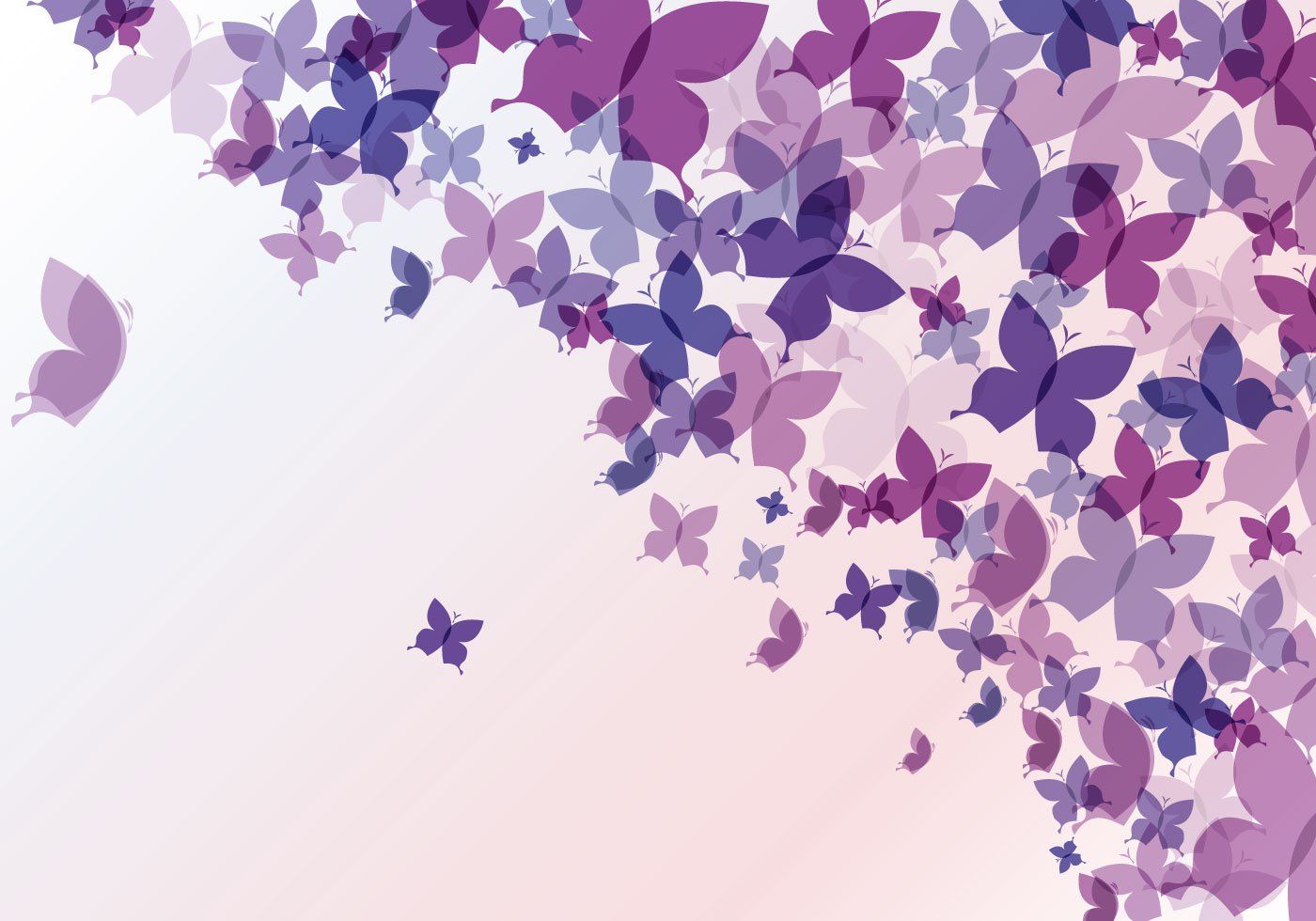 Butterfly Wallpaper Abstract Background