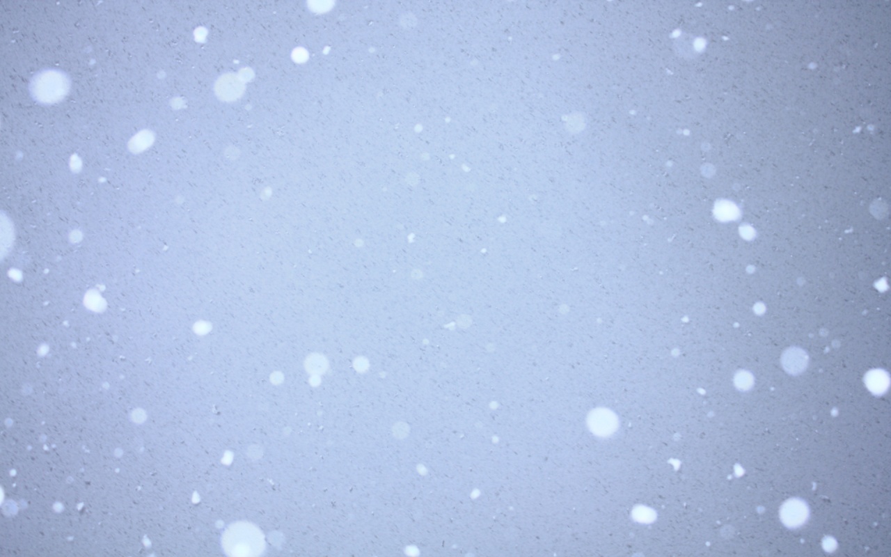 Snow Falling On Blue Sky Wallpaper