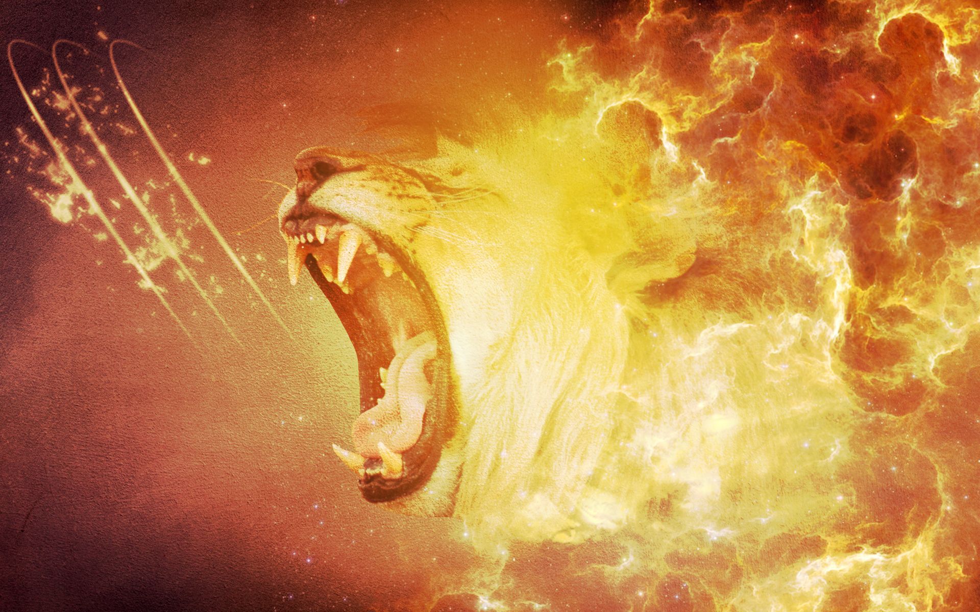 Animals Lions Roar Desktop Wallpaper Nr By