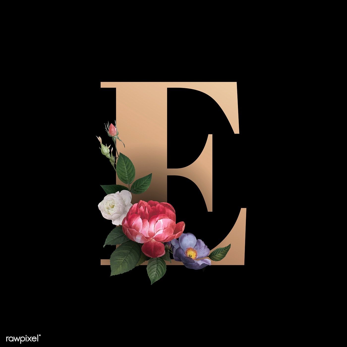Classic And Elegant Floral Alphabet Font Letter E Vector
