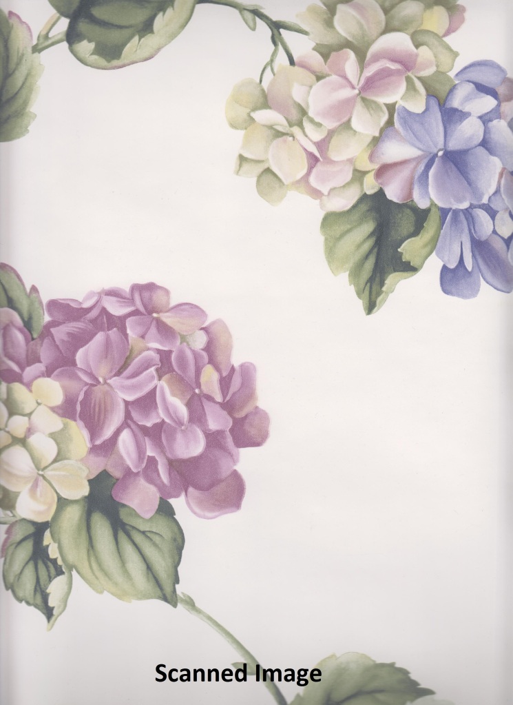 Floral Wallpaper Purple Blue Hydrangea Sidewall White Background