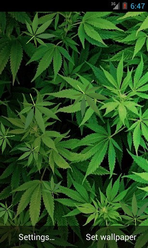 Marijuana Live Wallpaper HD For Android Appszoom