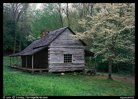 Home US National Parks Eastern Hardwoods Great Smoky Mountains