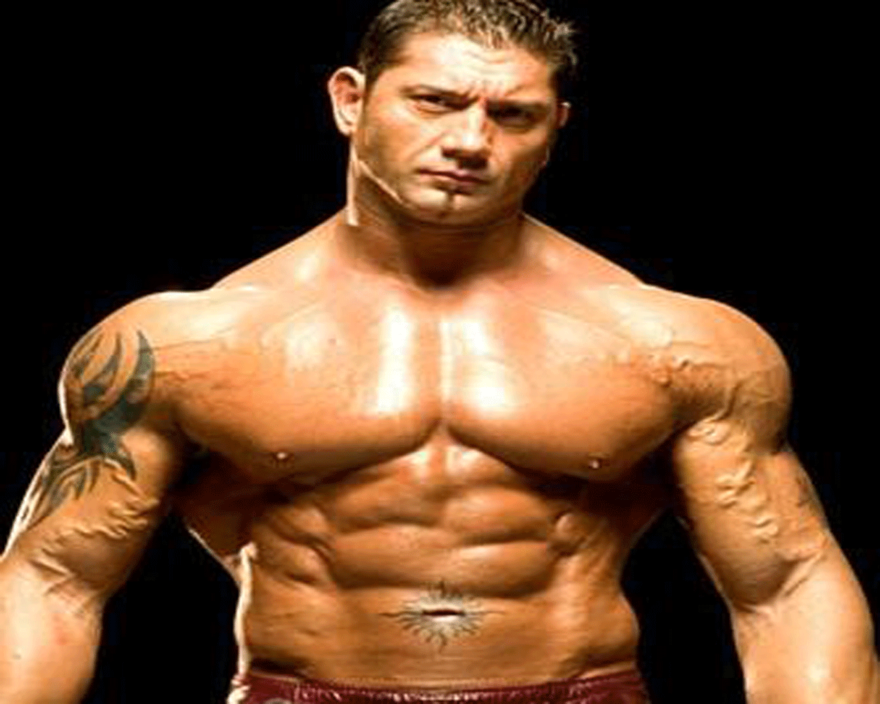 Wwe Batista World Champion Still Image Picture Wallpaper Hot
