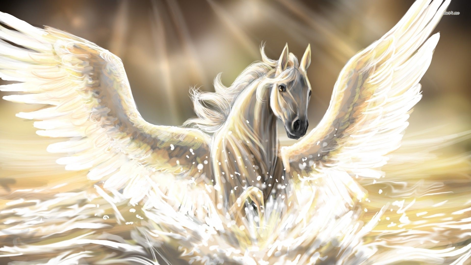 Pegasus Background 4k