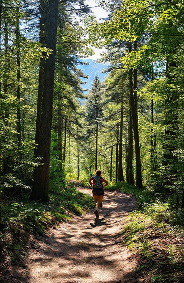 Trail Running Wallpaper