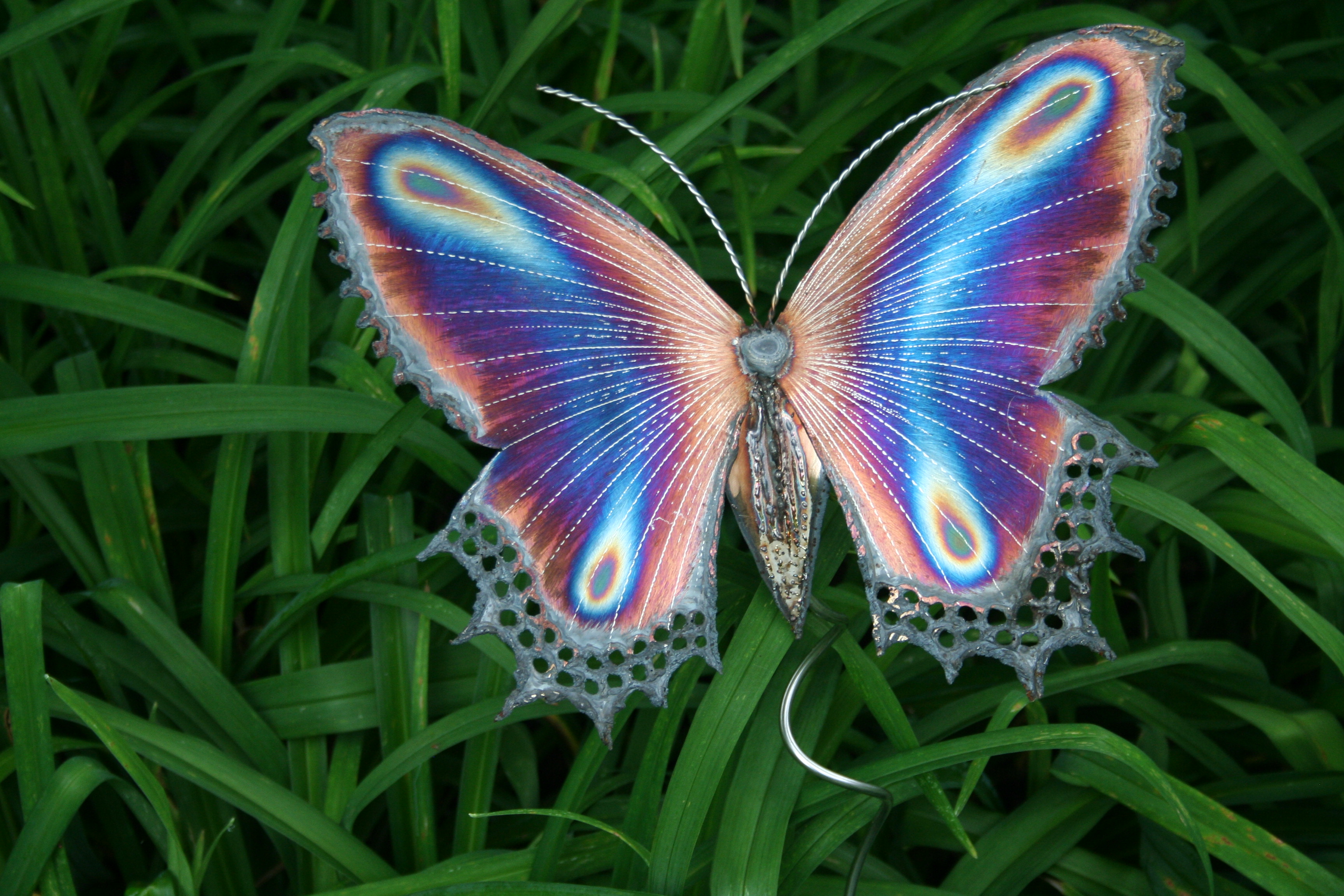 Purple Butterfly Desktop Wallpaper - WallpaperSafari